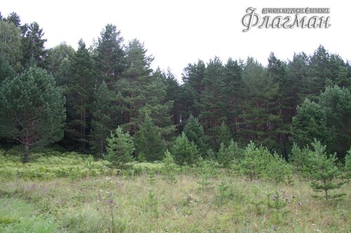 bereg_2009_priroda_3315_flagmanenok-ru